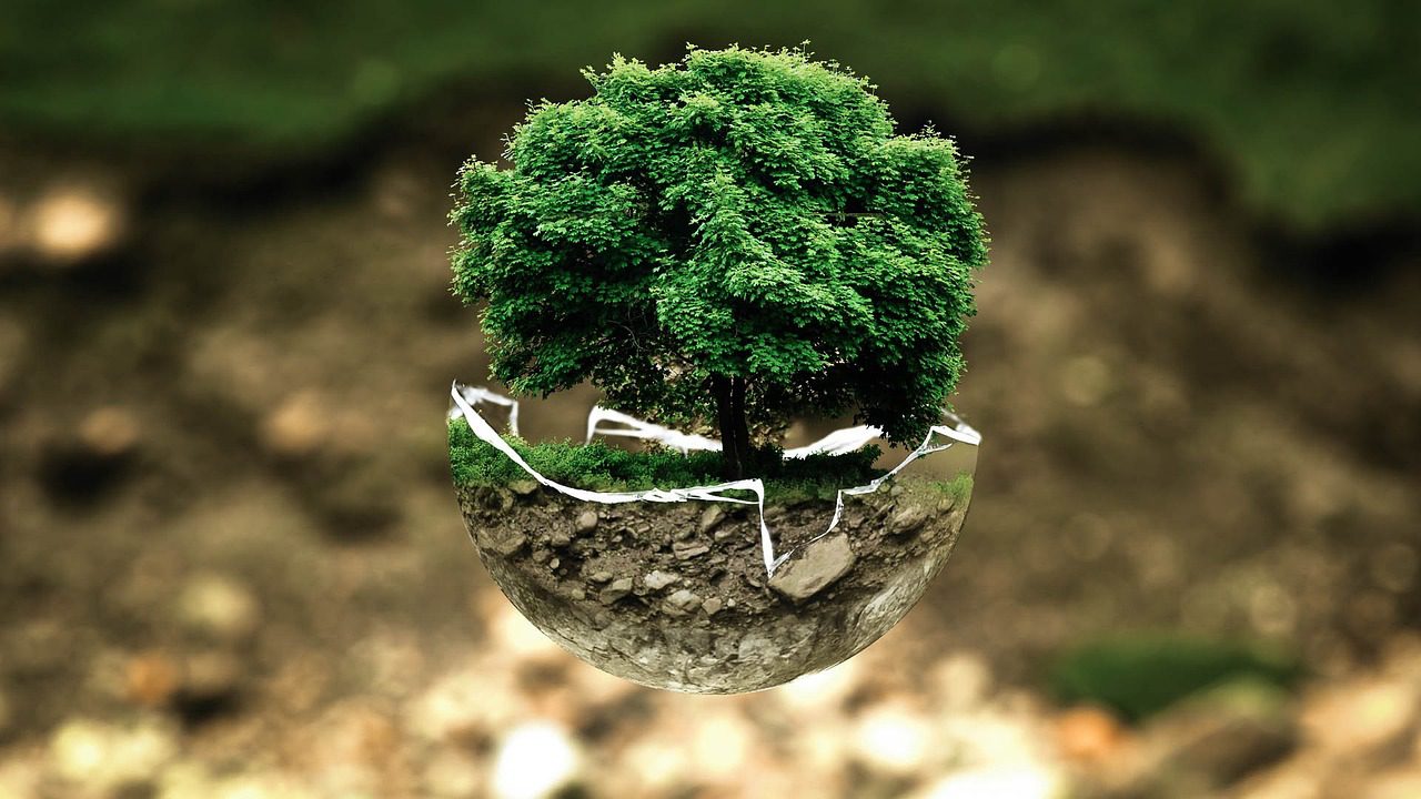 environmental protection, environment, the atmosphere, fragile, surreal, tree, nature, natural reserve, sensitive, forest dieback, forests, leaves, grow, green good, ecology, eco, bio, glass sphere, forest, green, organic, life, earth, tree protection, biology, ecological balance, environmental pollution, bonsai, deciduous tree, tree die, environmental protection, environment, environment, environment, environment, tree, tree, forest, life, earth, earth, earth, earth, earth