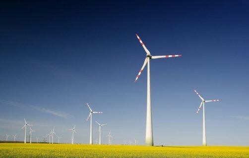 windmills on grass field at daytime