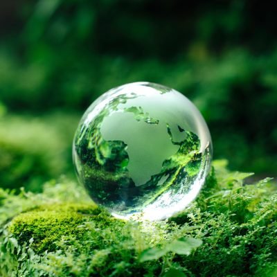 CRR III ESG reporting course delivered live online