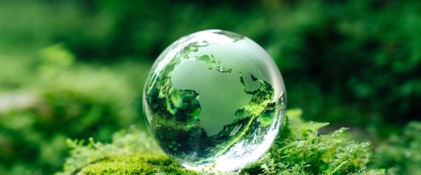 Crystal globe glass on green moss in forest to protect nature Save and care World for sustainable. concept of the environment ecology and Earth Day. eco environment and ESG concept.