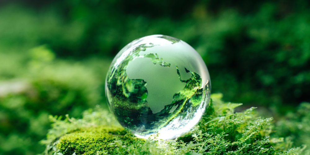 Crystal globe glass on green moss in forest to protect nature Save and care World for sustainable. concept of the environment ecology and Earth Day. eco environment and ESG concept.