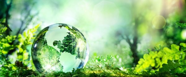 ESG risk management