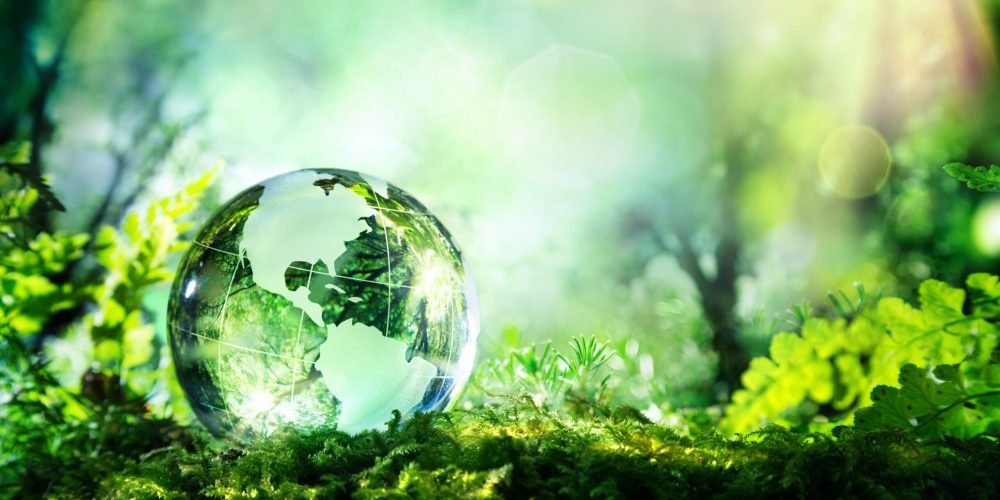 ESG risk management