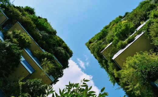low-angle photography of buildings with plants on it